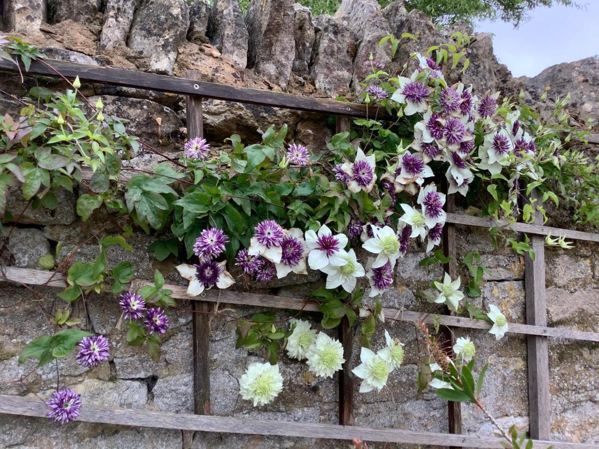 Hollyhock Cottage, Clematis Cottages, Стамфорд Экстерьер фото